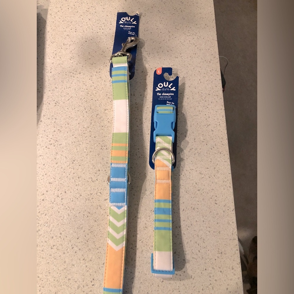 💥3/$15💥 Dog Collar (Large) & Leash (6’)